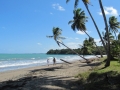 Beach scene