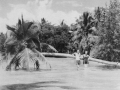Jesse and Emily Gardner at Cocoloco beach