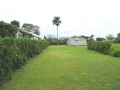 Casalata - today (all foliage gone)
