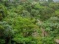 Lush mountain greenery